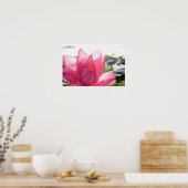 Lotus flower [Nelumbo speciosum] in haar geheel Poster (Keuken)