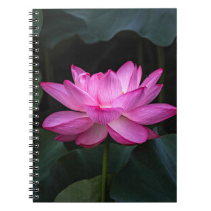 Lotus Flower Notitieboek