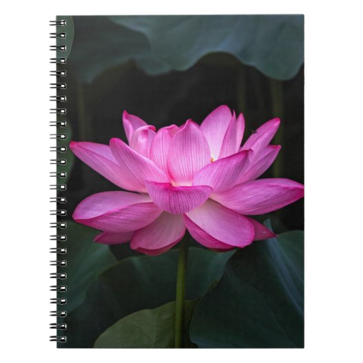 Lotus Flower Notitieboek (Voorkant)