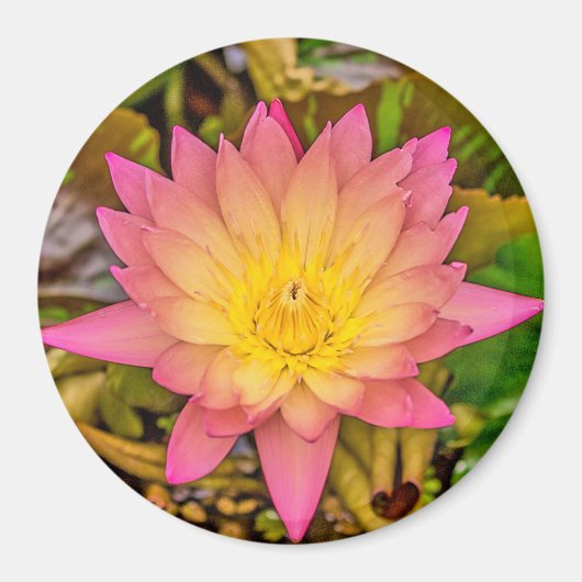 Lotus Flower of Life Magneet (Voorkant)