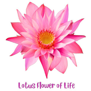 Lotus Flower of Life T-shirt