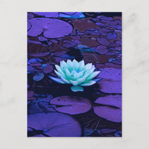 Lotus Flower Paars Blue Turquoise Floral Pond Zen Briefkaart
