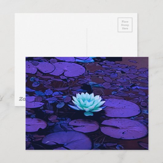 Lotus Flower Paars Blue Turquoise Floral Pond Zen Briefkaart (Voorkant / Achterkant)