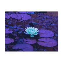 Lotus Flower Paars Blue Turquoise Floral Pond Zen