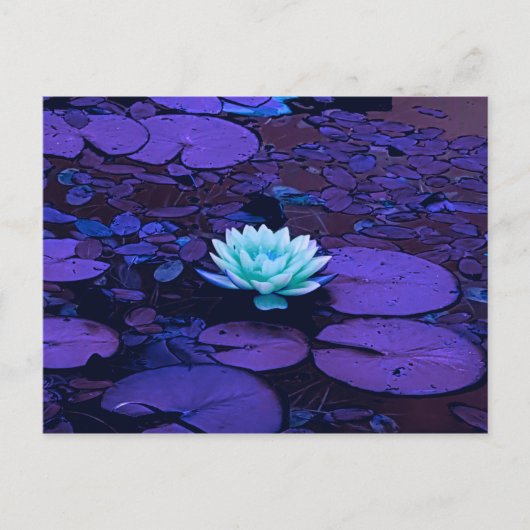 Lotus Flower Paars Blue Turquoise Floral Pond Zen Briefkaart (Voorkant)