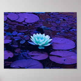 Lotus Flower Paars Blue Turquoise Floral Pond Zen Poster