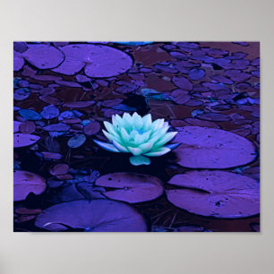 Lotus Flower Paars Blue Turquoise Floral Pond Zen Poster