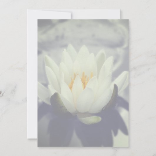 Lotus Flower Party Kaart (Achterkant)