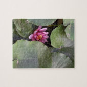 Lotus Flower Photo Legpuzzel (Horizontaal)