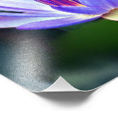 Lotus Flower Photo Print Foto Afdruk (Hoek)