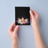 Lotus Flower Photography Great Yoga Om Gift! Flyer (Hand)