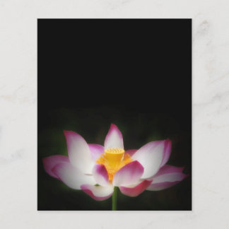 Lotus Flower Photography Great Yoga Om Gift! Flyer