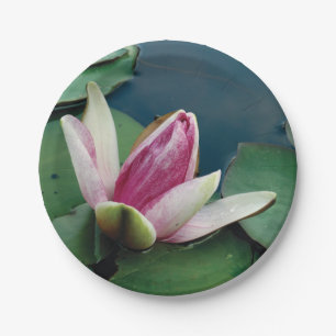 Lotus Flower Pink Blossom Custom Paper Bord 7 in