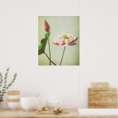 Lotus Flower Poster (Keuken)