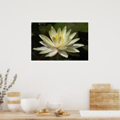 Lotus Flower Poster (Keuken)