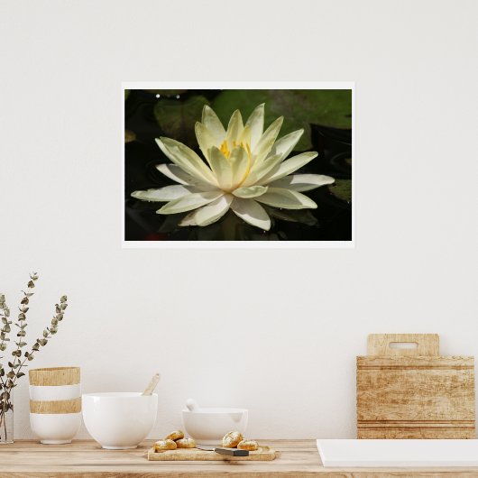 Lotus Flower Poster (Keuken)