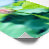 Lotus Flower Poster (Hoek)