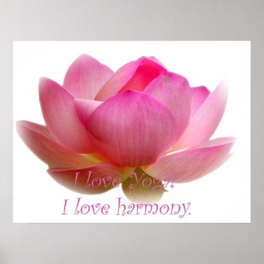 Lotus Flower Poster (Voorkant)