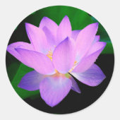 Lotus Flower Ronde Sticker (Voorkant)