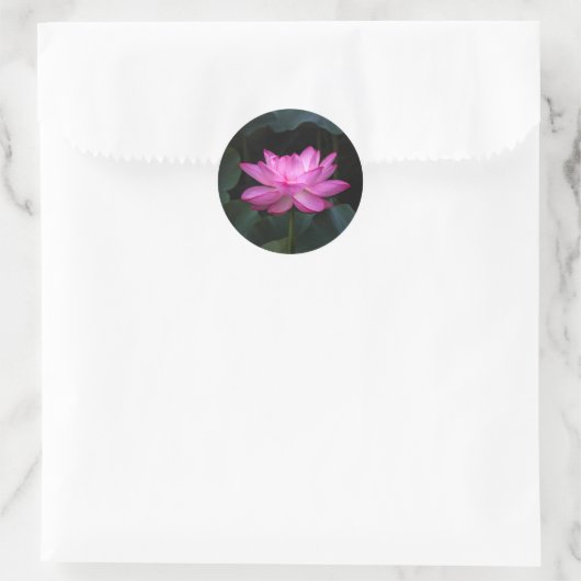 Lotus Flower Ronde Sticker (Tas)