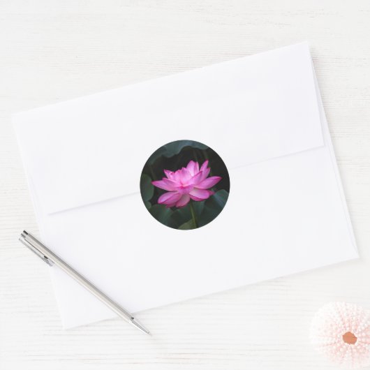 Lotus Flower Ronde Sticker (Envelop)