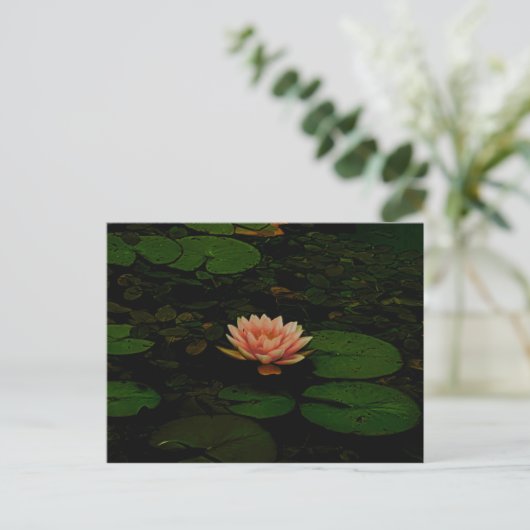 Lotus Flower Sinaasappel Donkergroen Bloemvijver Z Briefkaart (Staand voorkant)