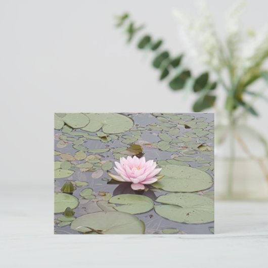 Lotus Flower Soft Pink Floral Pond Zen Briefkaart (Staand voorkant)