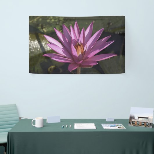Lotus Flower Spandoek (Beurs)