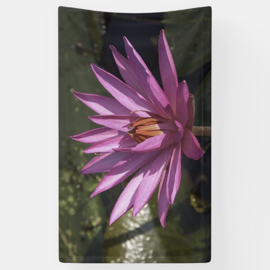 Lotus Flower Spandoek (Verticaal)