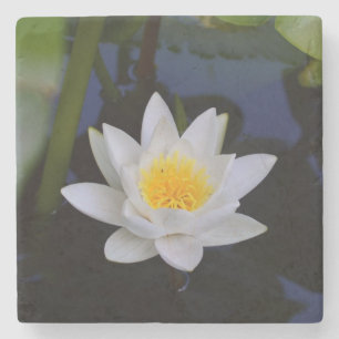 Lotus Flower Stenen Onderzetter