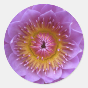 Lotus Flower Stickers