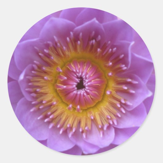 Lotus Flower Stickers (Voorkant)