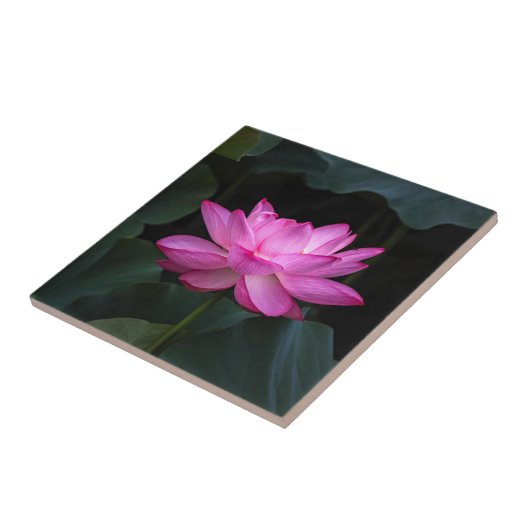 Lotus Flower Tegeltje (Zijkant)