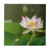 Lotus Flower Tile. Tegeltje (Voorkant)