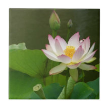 Lotus Flower Tile.