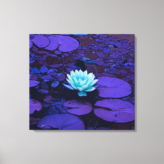 Lotus Flower Turquoise Paarse Vijver Zen Canvas Afdruk (Voorkant)