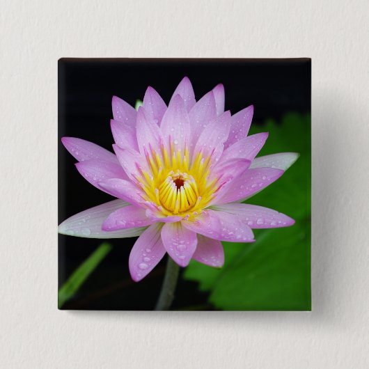 Lotus Flower Vierkante Button 5,1 Cm (Voorkant)