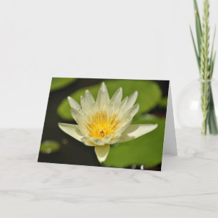 Lotus Flower - Water lily Wenskaarten Kaart