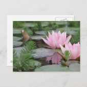 Lotus Flower/Waterlily Briefkaart (Voorkant / Achterkant)