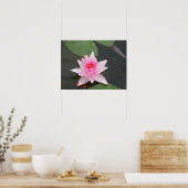 Lotus Flower/Waterlily Poster (Keuken)