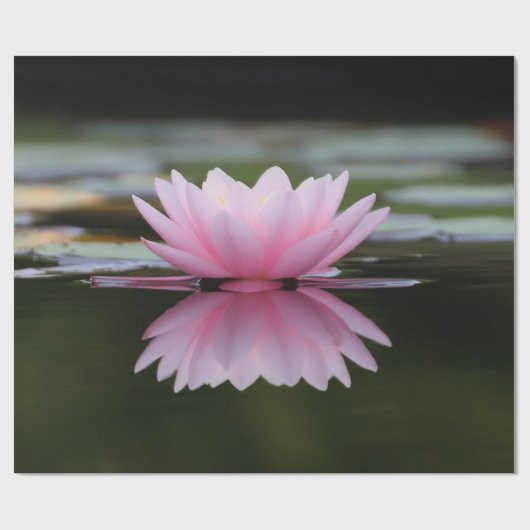 Lotus Flower, Zen Cadeaupapier (Vlak)