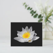 Lotus Flower (zwarte achtergrond) Briefkaart (Staand voorkant)