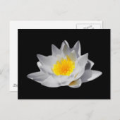 Lotus Flower (zwarte achtergrond) Briefkaart (Voorkant / Achterkant)