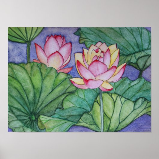 Lotus Flowers #4 Poster Afdrukken (Voorkant)