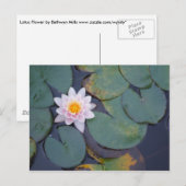Lotus Flowers Briefkaart (Voorkant / Achterkant)