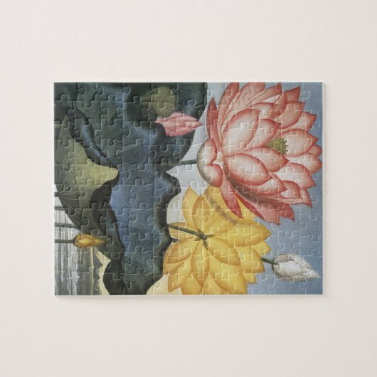  Lotus Flowers, de Heilige Egyptische Bean Legpuzzel (Horizontaal)