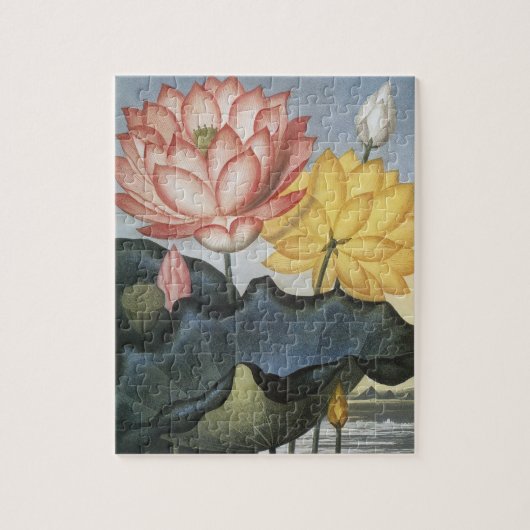 Lotus Flowers, de Heilige Egyptische Bean Legpuzzel (Verticaal)