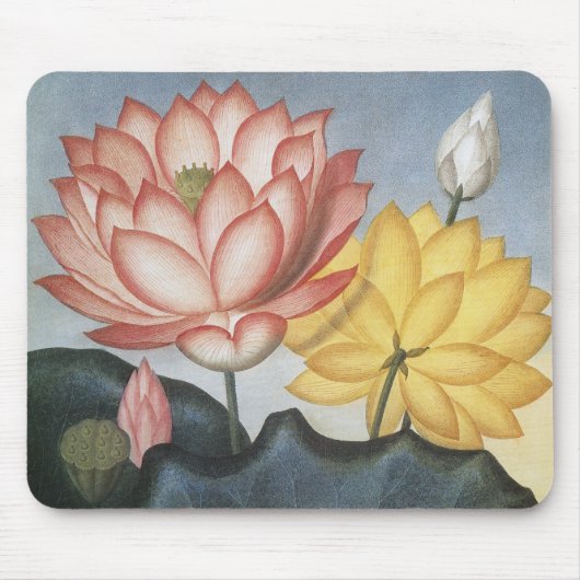  Lotus Flowers, de Heilige Egyptische Bean Muismat (Voorkant)