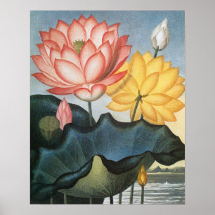  Lotus Flowers, de Heilige Egyptische Bean Poster