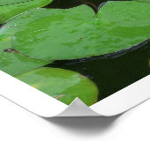 Lotus Flowers Poster (Hoek)